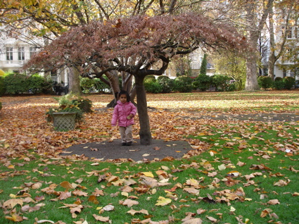11 Nov 5.jpg
